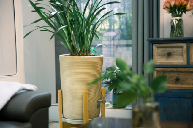 移动生态酒窖_任意门酒业【官网】百年留香•香传百年