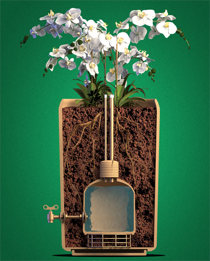 移动生态酒窖_任意门酒业【官网】百年留香•香传百年