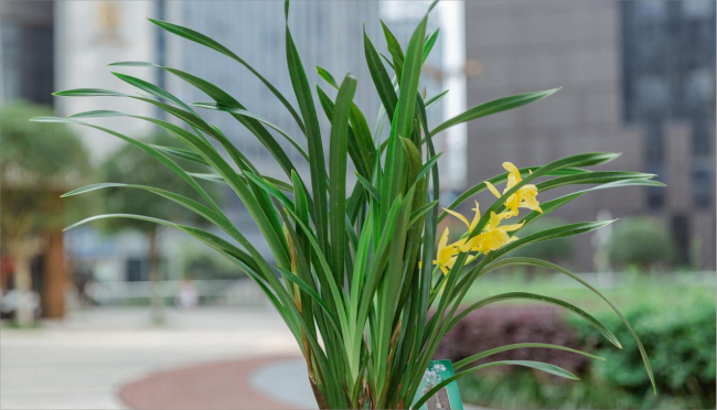 移动生态酒窖_任意门酒业【官网】百年留香•香传百年