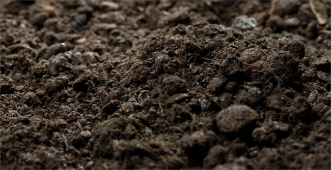 移动生态酒窖_任意门酒业【官网】百年留香•香传百年